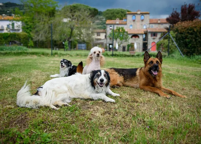Monastero San Silvestro Κατάλυμα σε φάρμα Κορτόνα