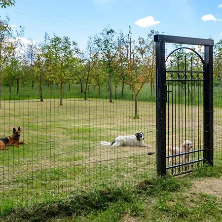 Séjour à la ferme Monastero San Silvestro