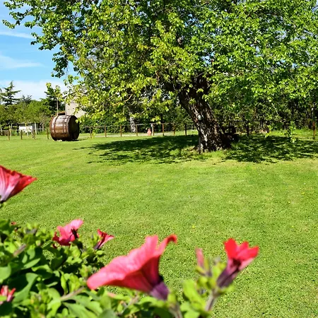 Alojamento de Turismo Rural Monastero San Silvestro *