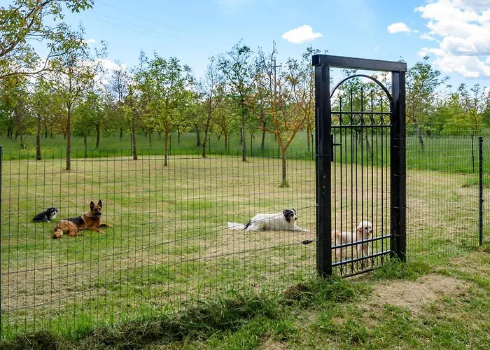 Feriegård Monastero San Silvestro